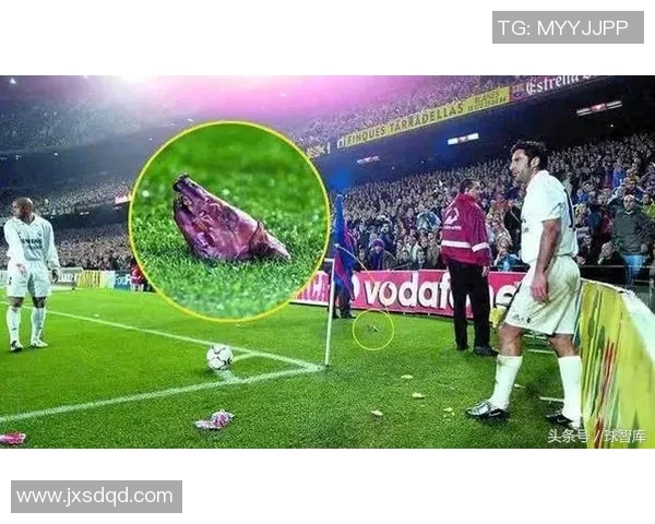 当你成为足球明星时的成长历程与心路历程分享 当你成为足球明星时的成长历程与心路历程分享