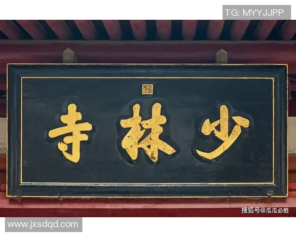 足球巨星金庸的传奇人生与辉煌成就全景解析 足球巨星金庸的传奇人生与辉煌成就全景解析