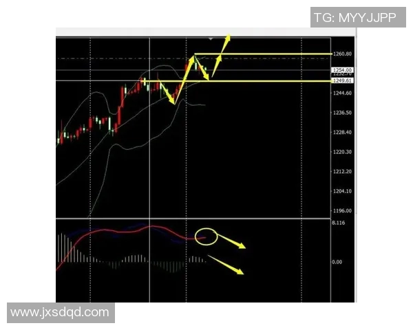 沙特与新加坡亚指分析及比赛前瞻全面解读 沙特与新加坡亚指分析及比赛前瞻全面解读